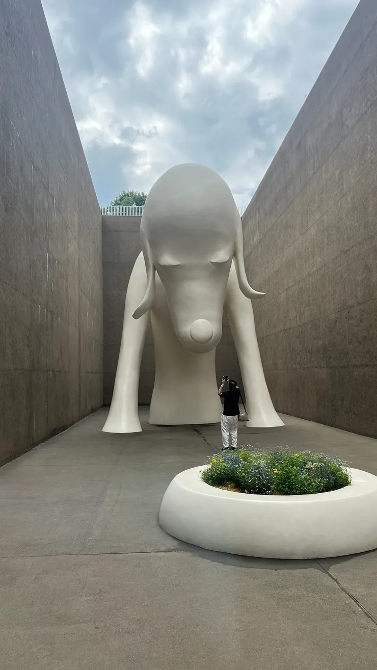 跟狗狗一樣，靜靜看著你、陪著你、但不打擾你。