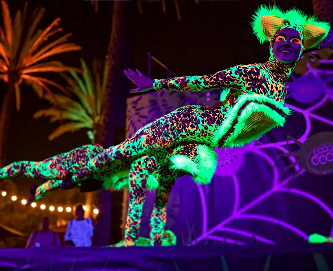 Spooky Revue 圖片來源自 san diego zoo