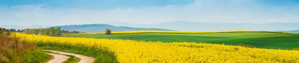 最愛自己的一年