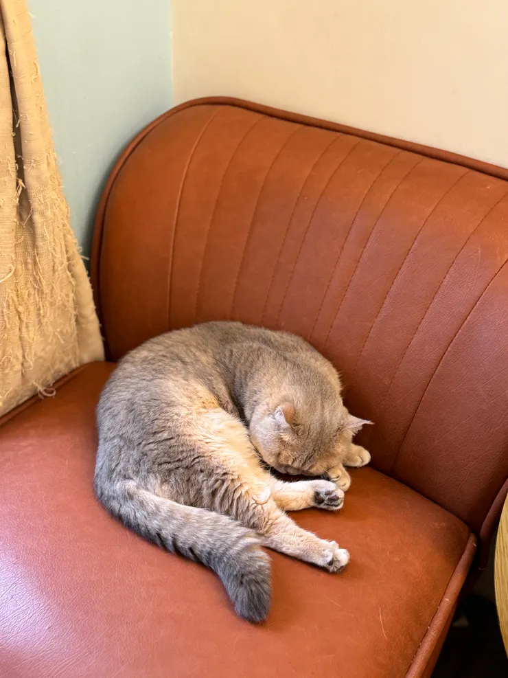 這隻會偷吃甜點XD