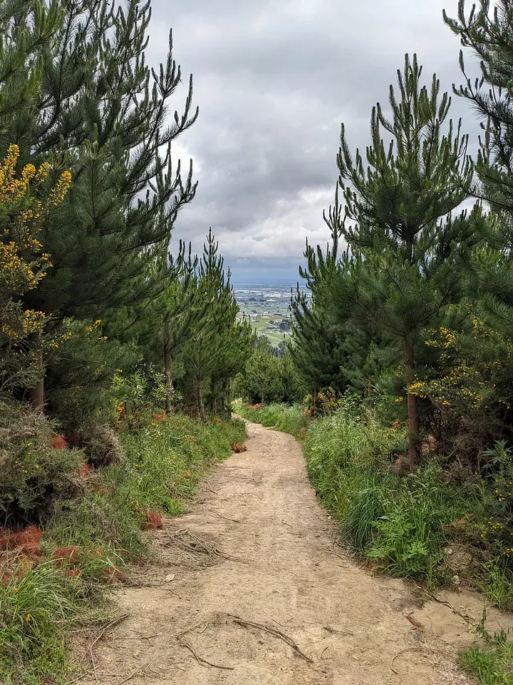 Adventure Park－Uphill walk