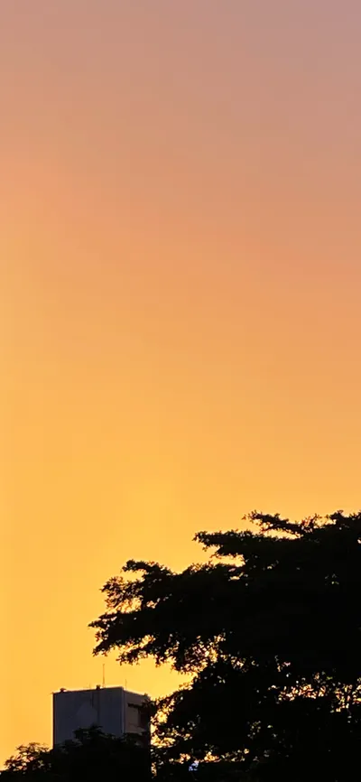 夕陽