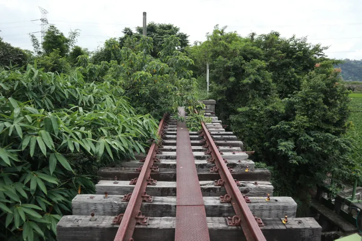 橋的另一頭被枝葉擋住大半