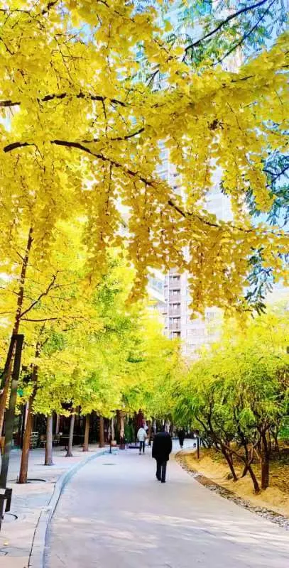 embrace the season we are in it.