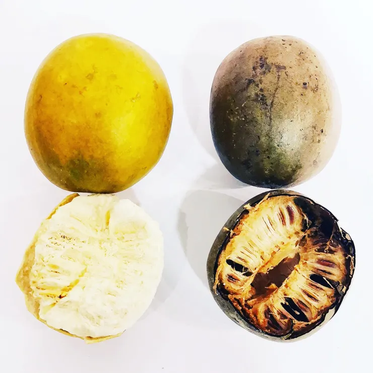 🌟 金黃與深褐：兩種不同的風味