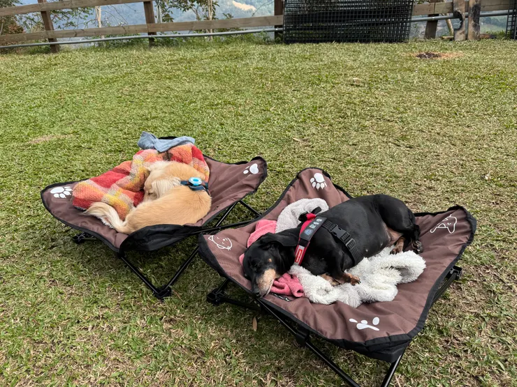 吃飽，小睡，曬太陽