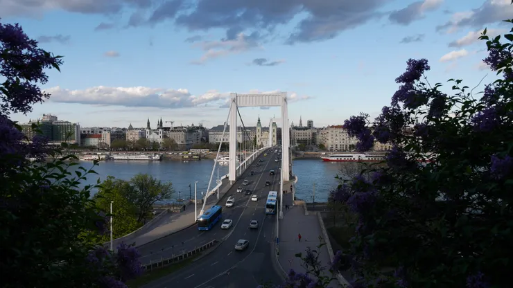 從蓋特勒山丘看伊莉莎白橋