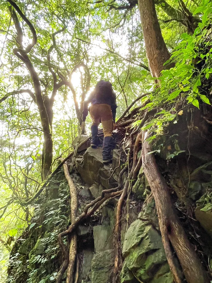 部分路段落差較大