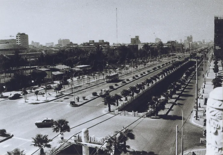 1970年代自文化院眺望民生二路及中央公園之景象（©高雄市立歷史博物館）