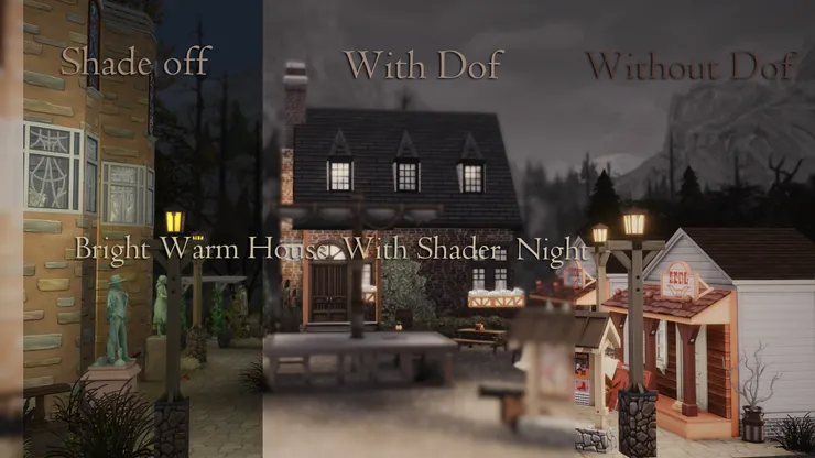 **有著色器** 夜晚的遺忘山谷,含景深