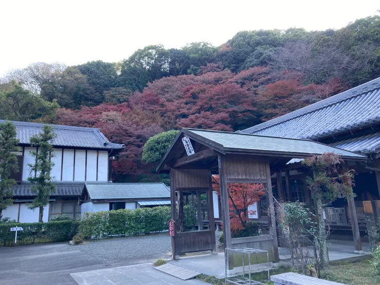 神惠院大師堂與深秋庭院