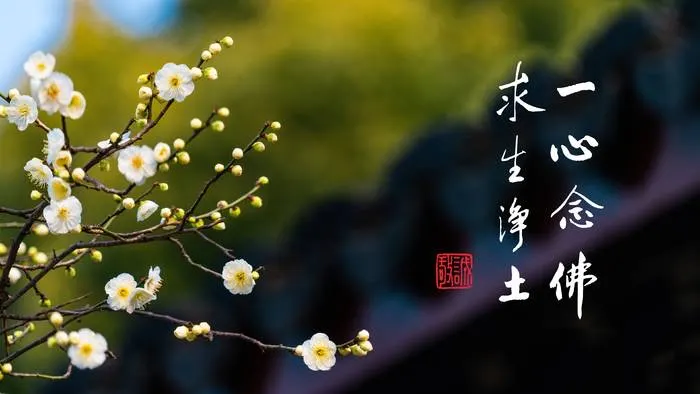 專心持念「阿彌陀佛」萬德洪名,期生淨土。