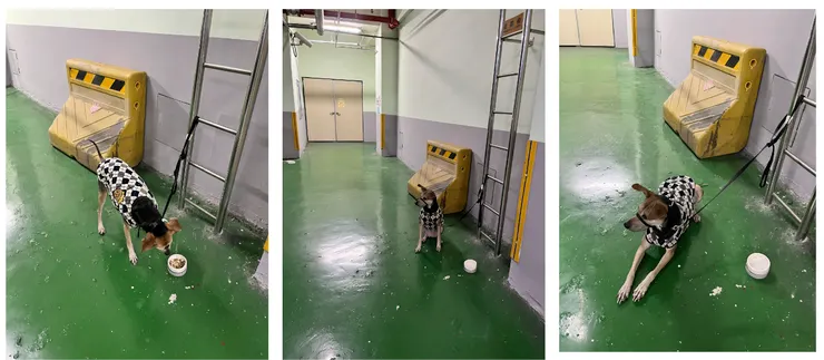 在地下室吃飯已經可以自己休息