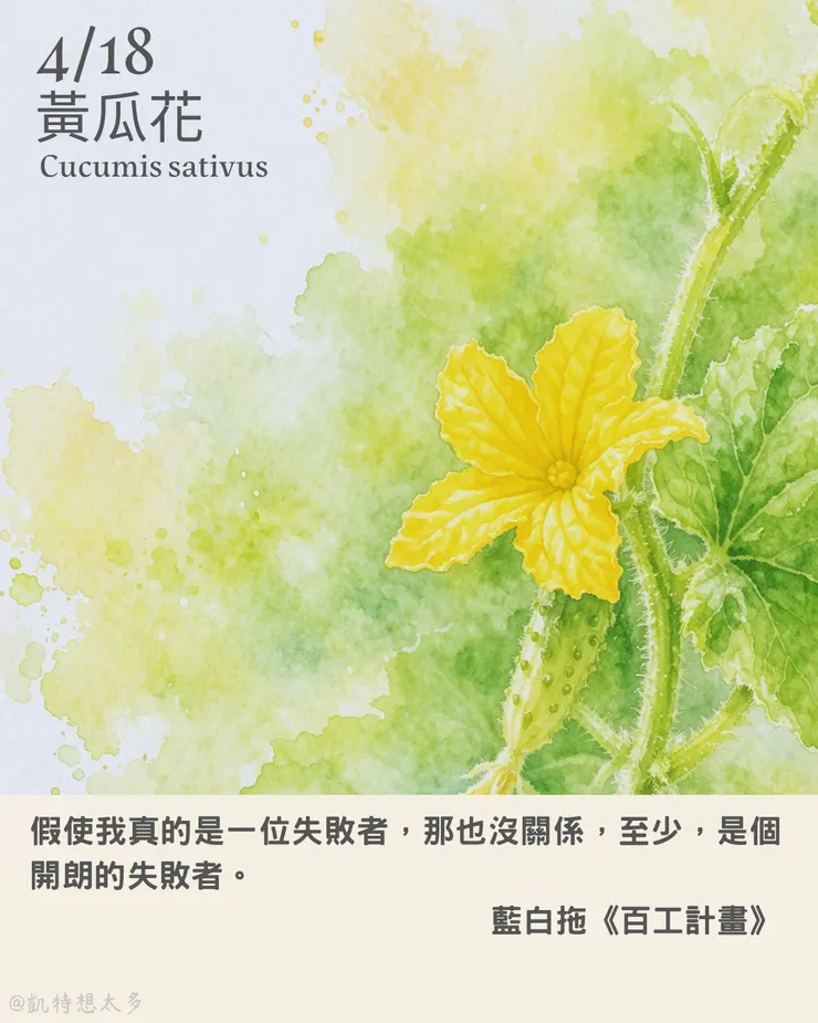 黃瓜花×藍白拖《百工計畫》