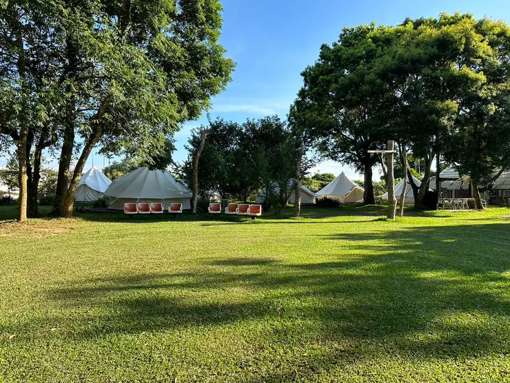 樹屋區的大草皮