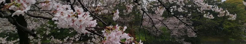 港妹在台住住看