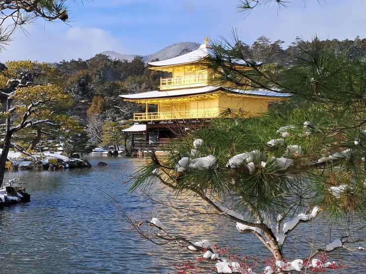 圖文不符雪金閣