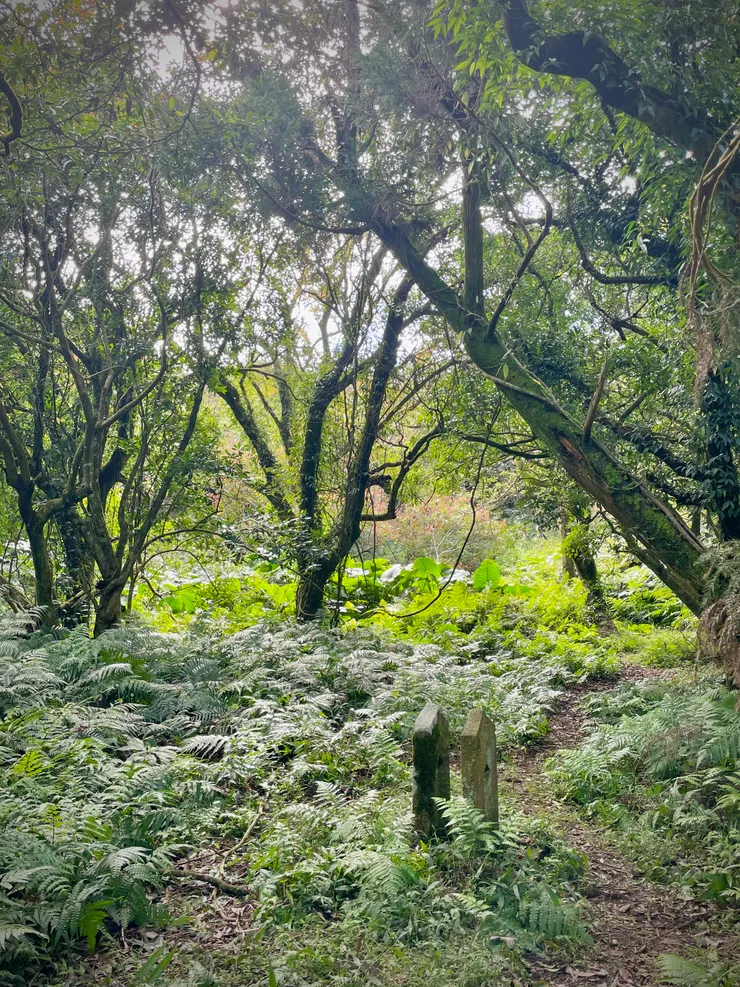 古墓前的旗桿座，隱藏在茂密的草蕨中