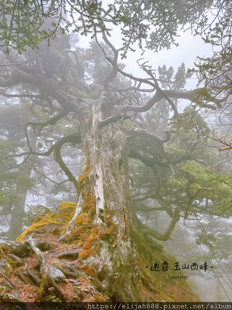 【玉山主峰西峰.兩天兩夜】排雲山莊-玉山西峰/玉山西峰神祠(