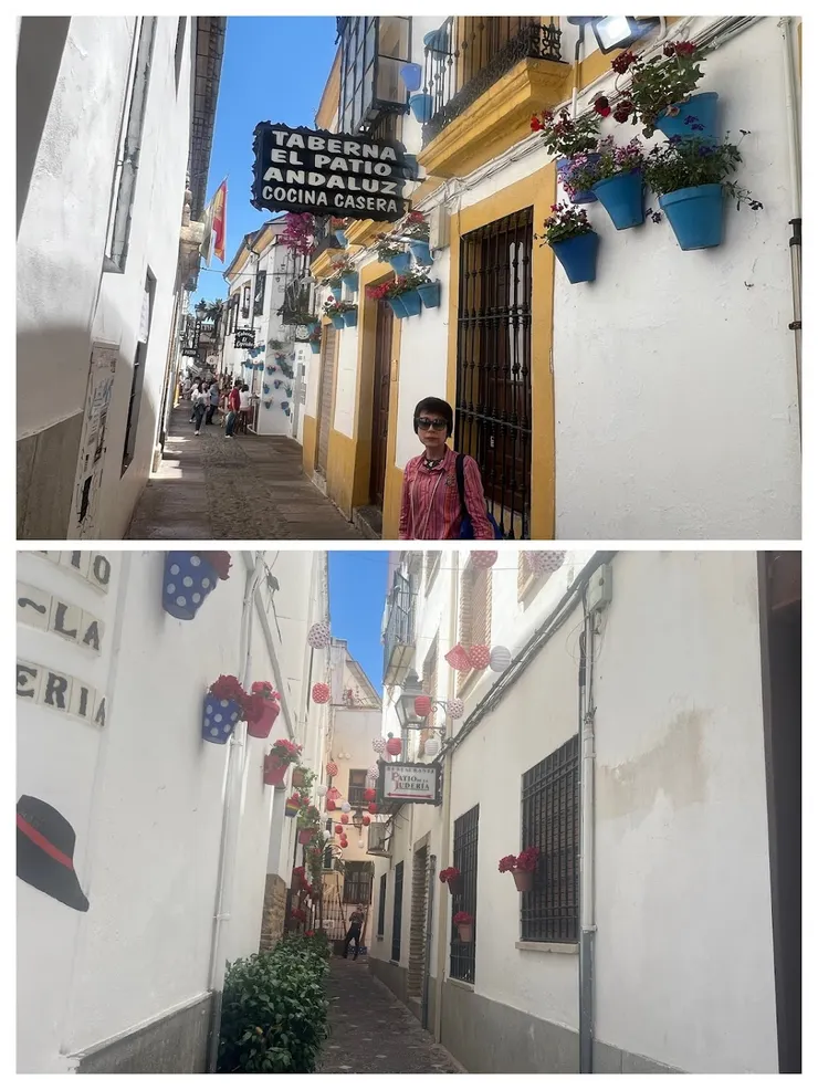 不是百花巷也很漂亮