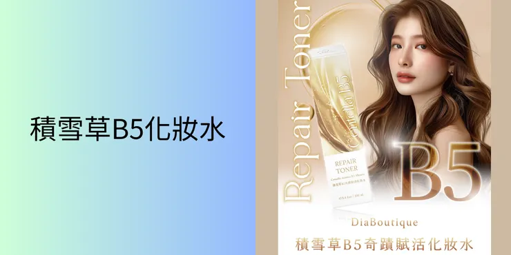 帝亞精品積雪草B5化妝水