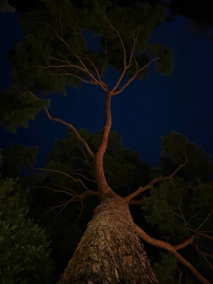 釀電影 vol.18《坂本龍一紀念特輯》幕後紀錄。／黃曦 提供