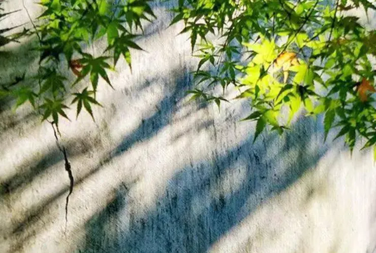 圖片取自網路加以裁剪而成，侵權刪。