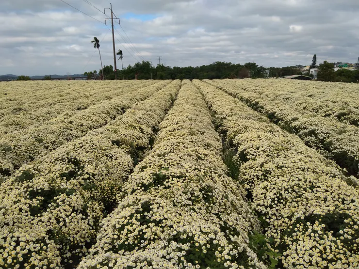 來源:承熙,以下都是