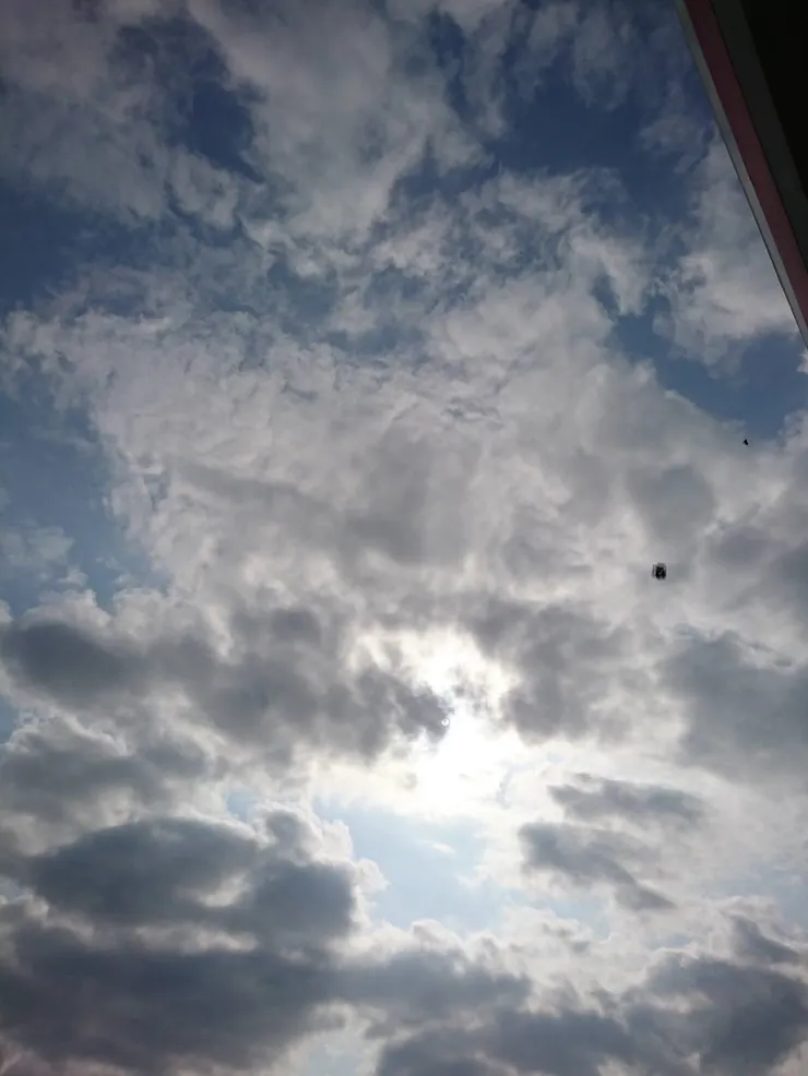 附圖獻上過去的眼界,紀念經年好久甩不掉的小黑蚊。(圖中的飛鳥與飛蚊,身為飛蚊症人,還是分得一清二楚,畢竟飛鳥會移動,飛蚊是眼球在動。)