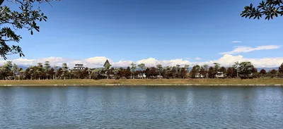 SYW的第二人生 （人生的觀察者）