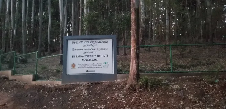 森林告示牌，最上是斯里蘭卡文，下面是南印度文，最下是英文，這三種是斯里蘭卡通用語言