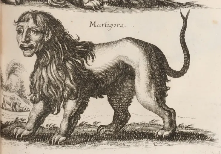蠍獅或Martigora - (1650) 馬特烏斯·梅里安 (Matthäus Merian)的《自然史》