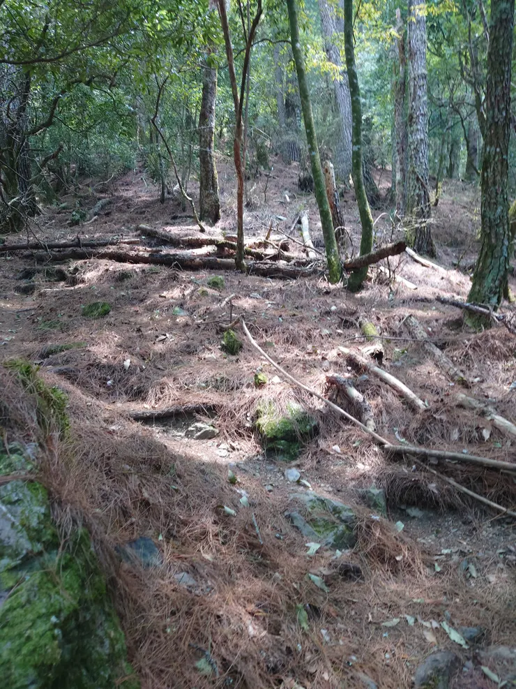 千萬不要低估扛水上遠多志營地的過程，別人腳酸、我是肩膀痠