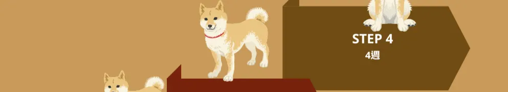 Phelps的投資心法之旅-致富夢想與實踐的沙龍