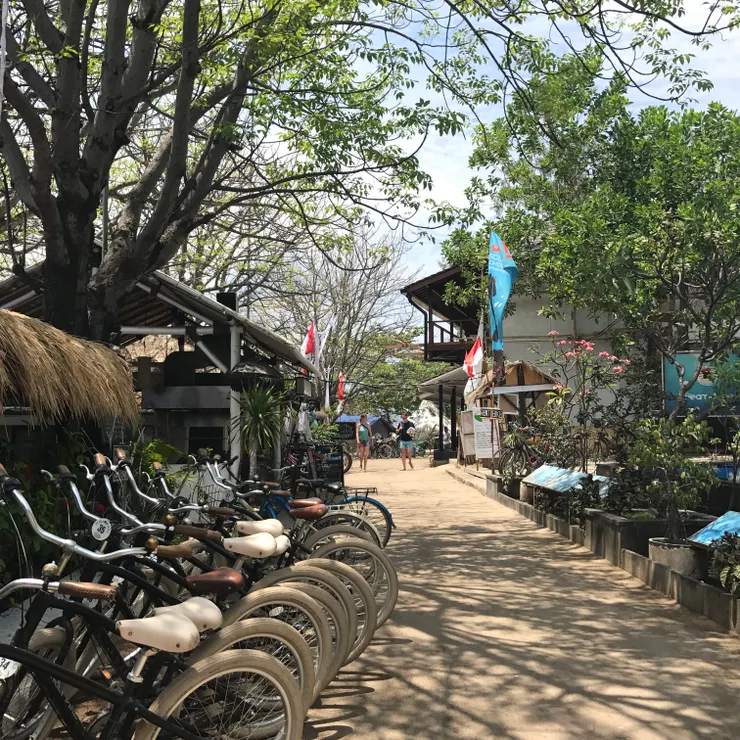 只有腳踏車跟馬車的小島