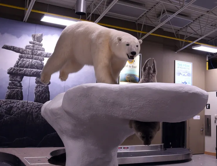 黃刀機場北極熊