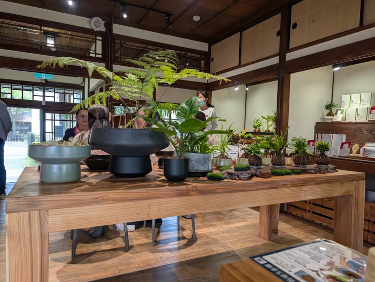 其中一株已經在家