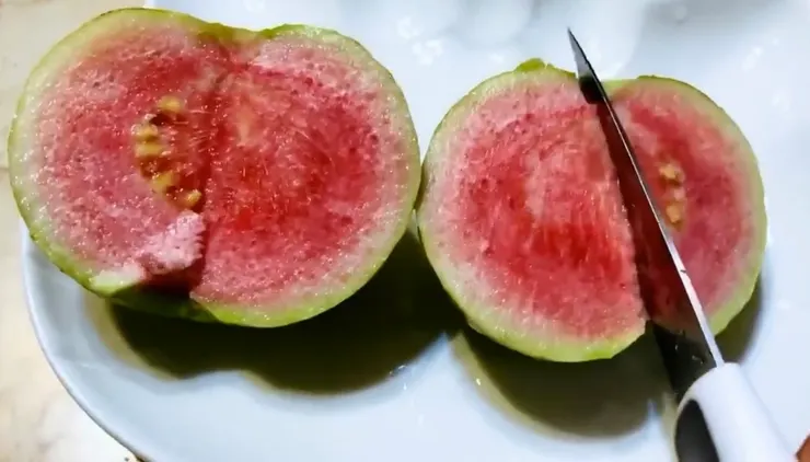 紅寶石芭樂剖開