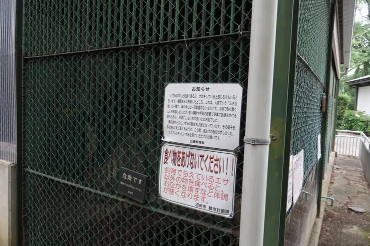 還養了一頭熊。