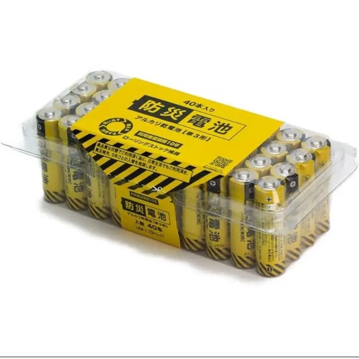 日本防災電池(10年)