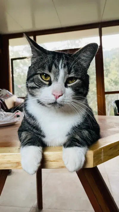 學習的路上｜六月小記