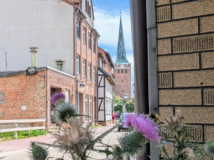 Photo: Zora @ Uelzen, Germany. Aug 2, 2025.