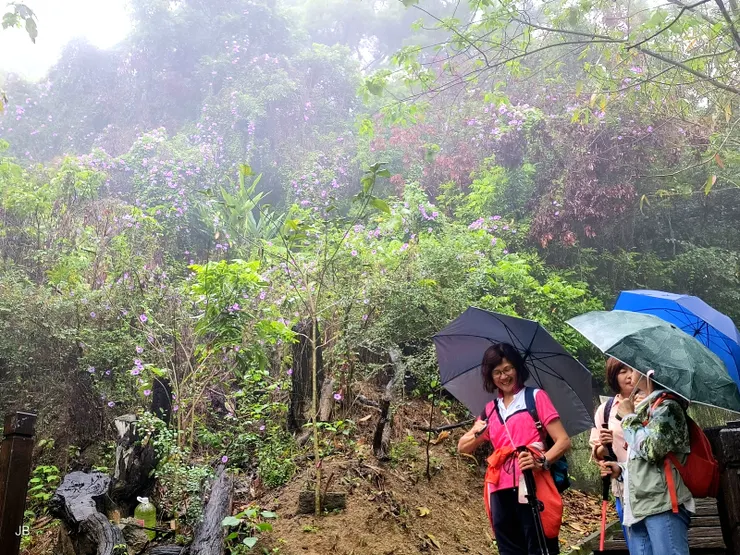 【6號步道途中，背景數大是美的牽牛花，當然前景的中古美女們也很搶眼。】