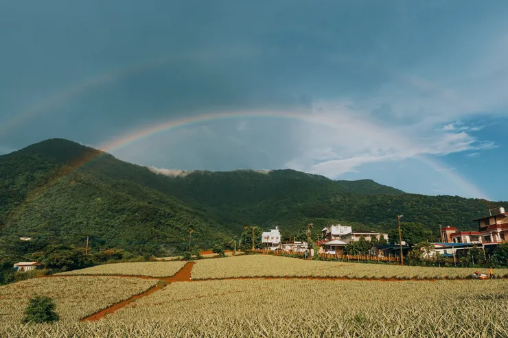 瓦酪露部落（馬兒村旁鳳梨園）