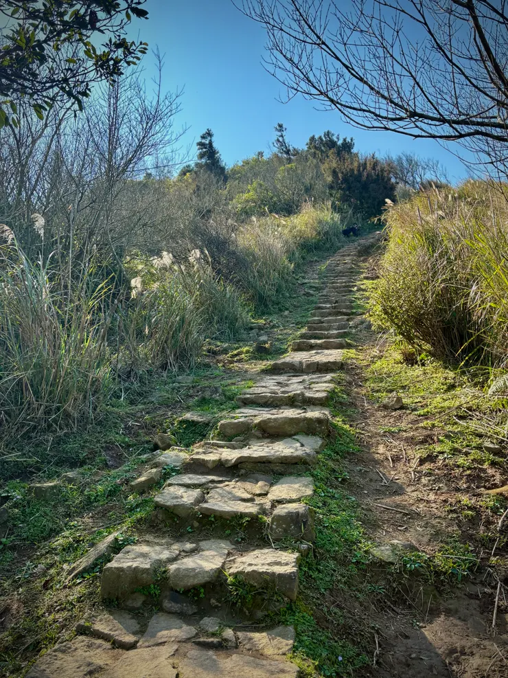 這是最陡的階梯