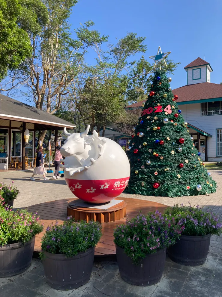 今年聖誕樹也裝飾好了!