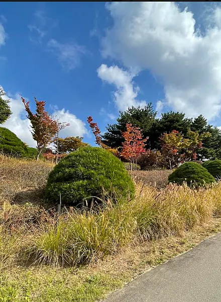 首爾南山白凡廣場