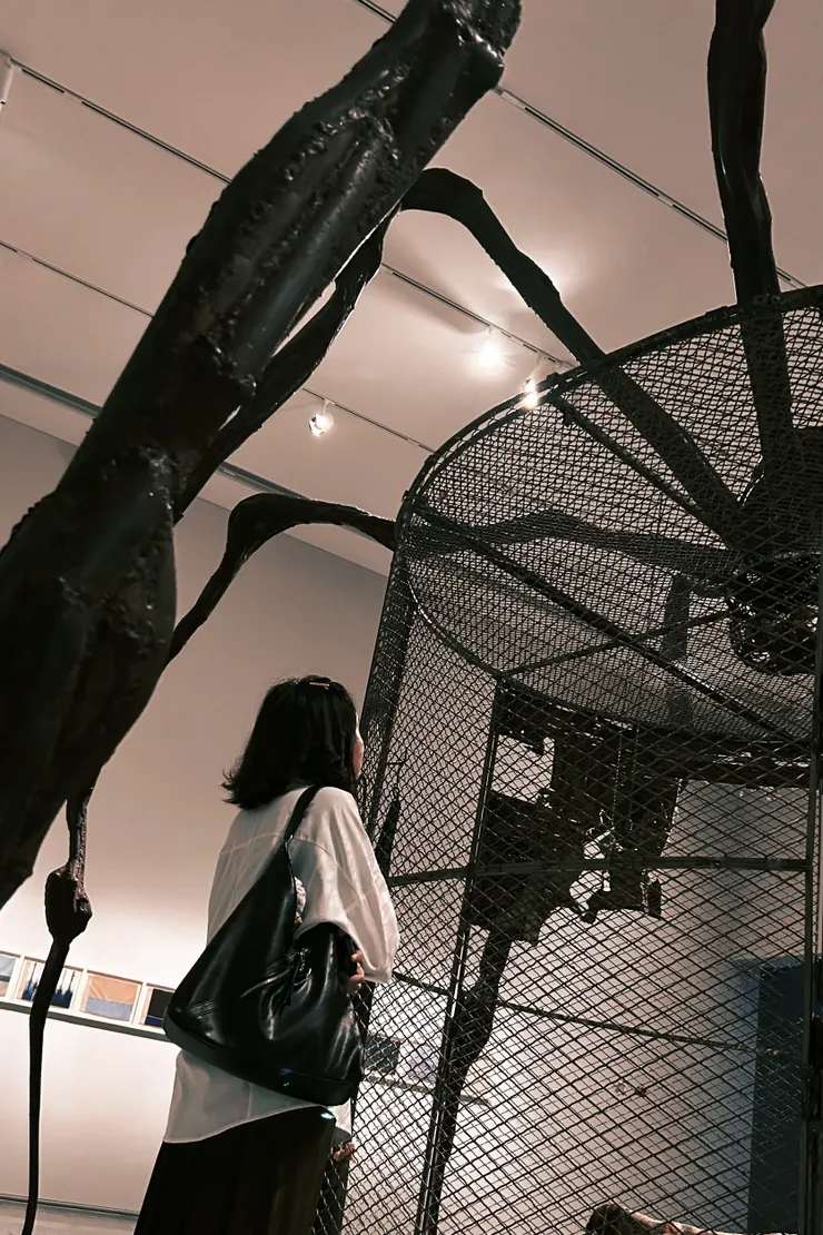 路易絲·布爾喬亞《蜘蛛》