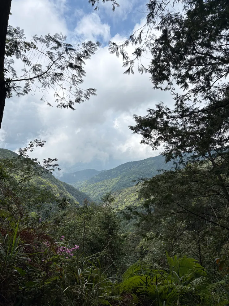 連綿的山巒