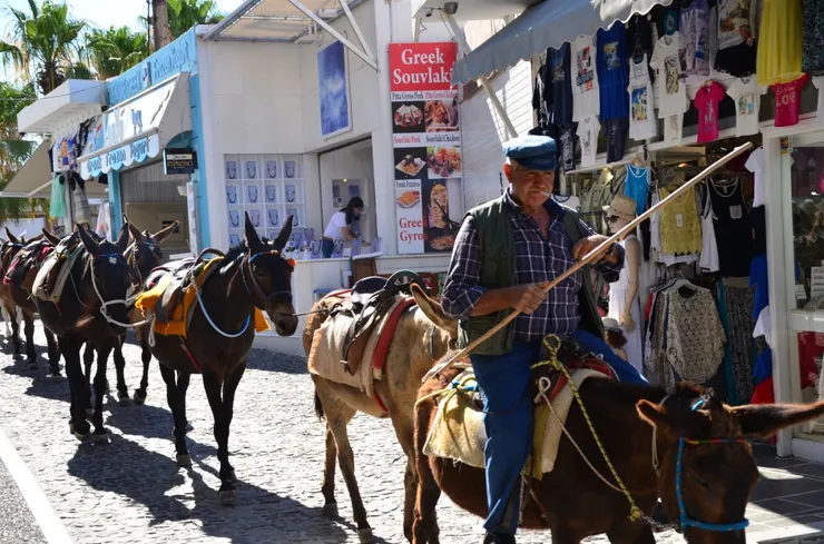 小驢子準備上班了